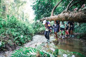 BIB: 
                            <button type="button" onclick="openModal(25472103)" class="btn btn-primary btn-sm float-right btn-popup" data-toggle="modal" data-target=".modal-high-quality">
                        <i class="fas fa-shopping-cart"></i> Add to Cart
                    </button>
                                            <button type="button" onclick="isThisMe(25472103, true)" class="btn btn-success btn-sm float-right btn-popup btn-isme hidden" data-toggle="tooltip" data-placement="bottom" title="นี่คือรูปของคุณใช่ไหม คลิกที่นี่เพื่อเอาเข้าอัลบั้ม">
                        <i class="fas fa-plus"></i> Add to album
                    </button>
                    <button type="button" onclick="isThisMe(25472103, false)" class="btn btn-warning btn-sm float-right btn-popup btn-isnotme hidden">
                        <i class="fas fa-ban"></i> Remove from album
                    </button>